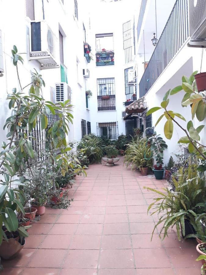 Apartamento pleno centro Wallada Córdoba Exterior foto